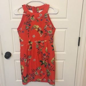Francesca’s Orange Dress